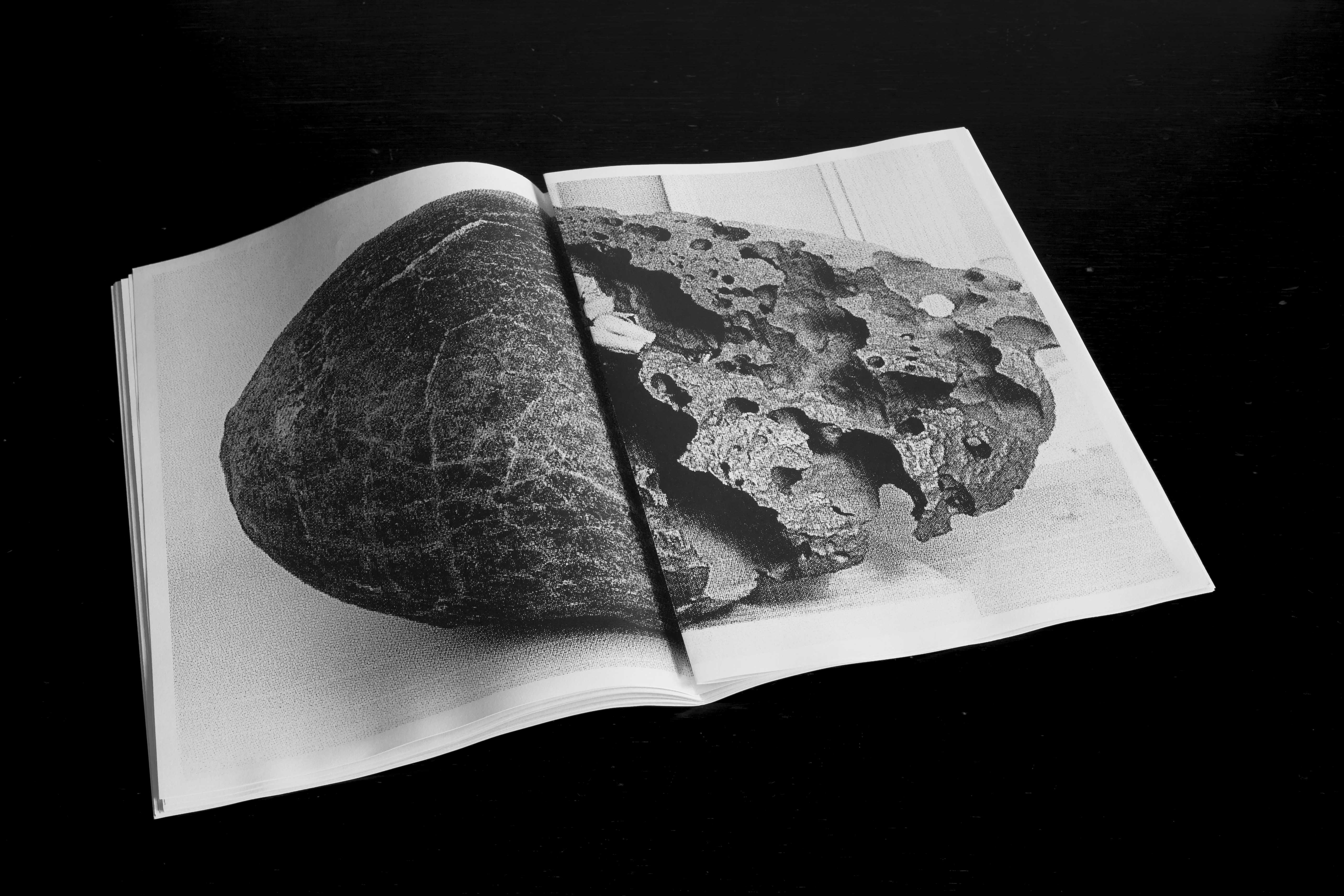 ©francescodipierro
